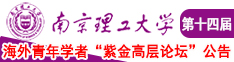 白奶少妇在线南京理工大学第十四届海外青年学者紫金论坛诚邀海内外英才！